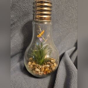 Faux Aloe Vera Terrarium With Airplanes
